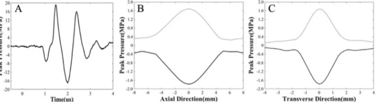 Fig. 2. Acoustic waveform and beam profiles. (a) Example 500-kHz histotripsy waveform measured by the fiberoptic probe hydrophone along with the 1-D beam profiles in the (b) axial and (c) transverse directions measured with the