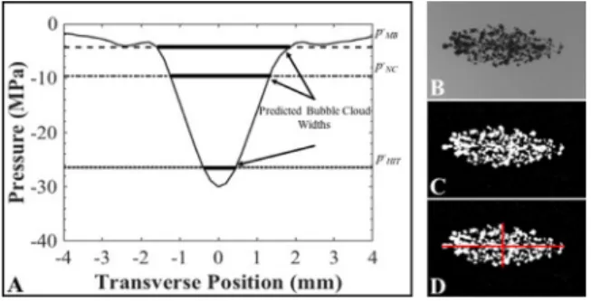 Fig. 4. Bubble cloud size: Predicted versus measured methods.