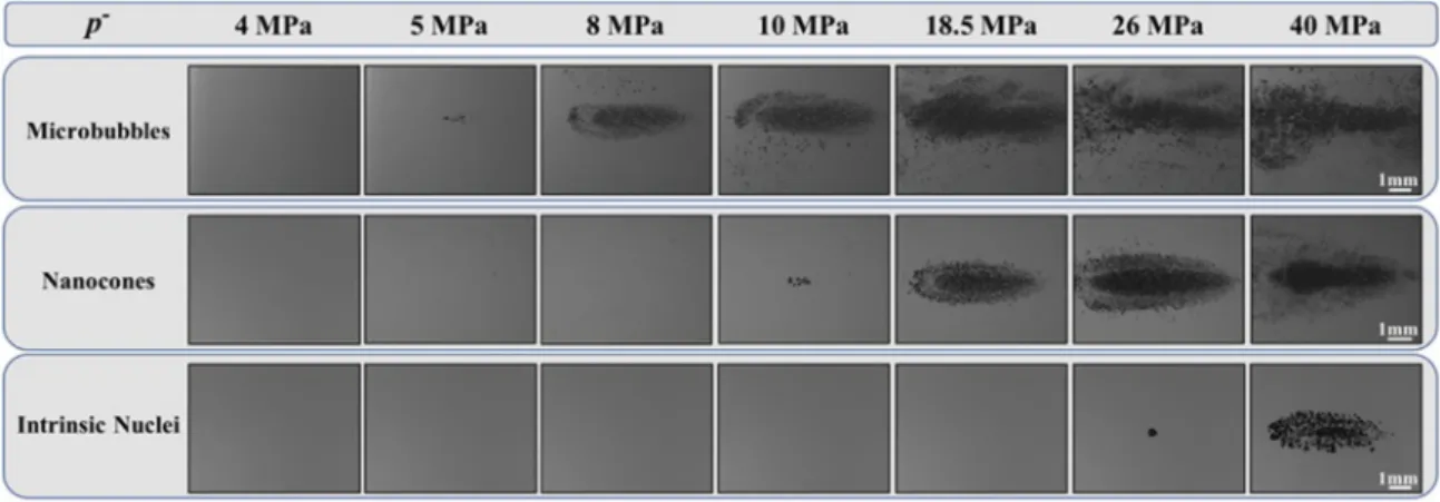 Fig. 5. Histotripsy bubble cloud images. Optical images of cavitation bubble clouds generated inside agarose phantoms containing microbubbles, nanocones, or intrinsic nuclei captured by a high-speed camera