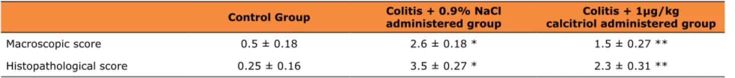 Table 1 - Histopathological and macroscopic scores of the groups.