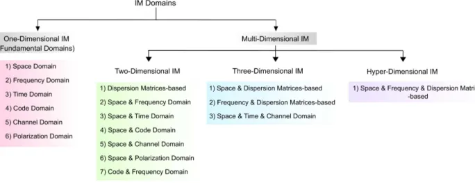 Fig. 4. Dimensional-based categorization of the existing IM domains in the literature.