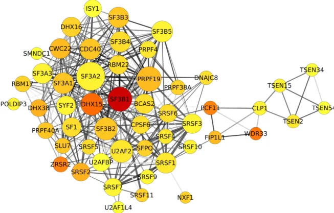 Figure 1. Depiction of the extracted network’s component. It consists of 54 nodes and 382 edges.