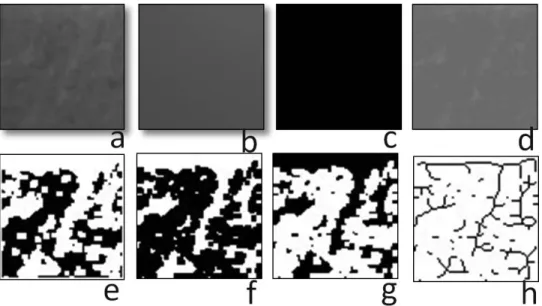 Figure 3. Stages of fractal dimension analysis. (a) Cropped region of interest. (b) Blurred image of duplicated region of interest