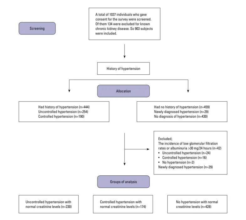 Figure 1. Flow diagram of patients. The diagram includes detailed information on the excluded patients and formation of groups