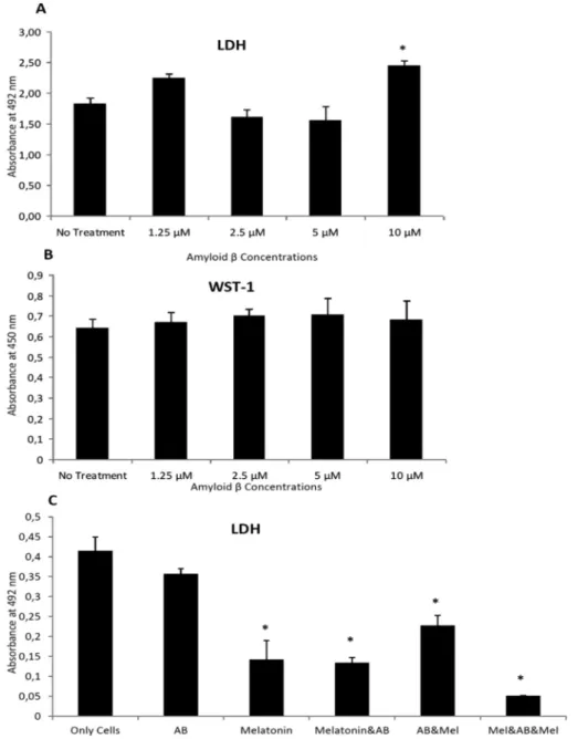 Fig. 1. Lactate Dehydrogenase (LDH) and WST-1 analyses. (A) shows cell viability data indicating the most effective toxic dose of Ab, which was 10 mM among the four different concentrations, (B) cell proliferation data from the WST-1 analysis showed that t