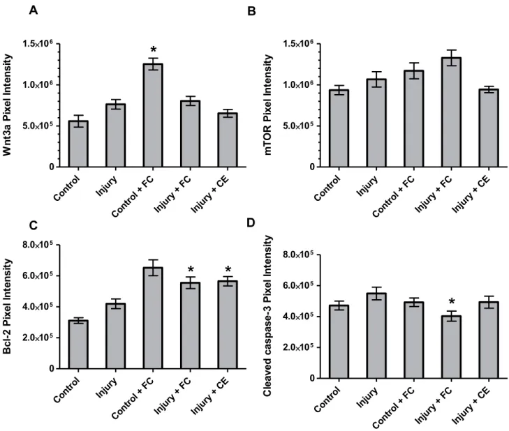Figure 6 Quantitative ICC analysis. Integrated pixel intensity analyses of (A) Wnt3a, (B) mTOR, (C) Bcl-2 and (D) cleaved caspase-3 proteins