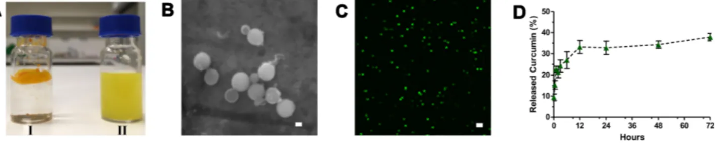 Figure  1  Characterization  of  CurcuEmulsomes.  (A)  Photographs  of  (I)  curcumin,  insoluble  in  water,  and  (II)  CurcuEmulsomes,  soluble  in  water