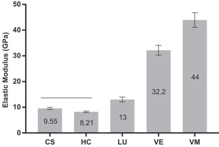 FIGURE 2  Mean flexural strength (MPa) of tested CAD/CAM  blocks. Horizontal line above bars indicates that there is no statistical  difference