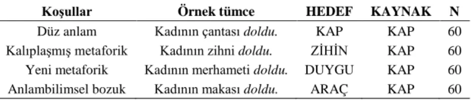 Tablo 1. Örnek deney tümceleri ve içerdikleri HEDEF ve KAYNAK alanlar 