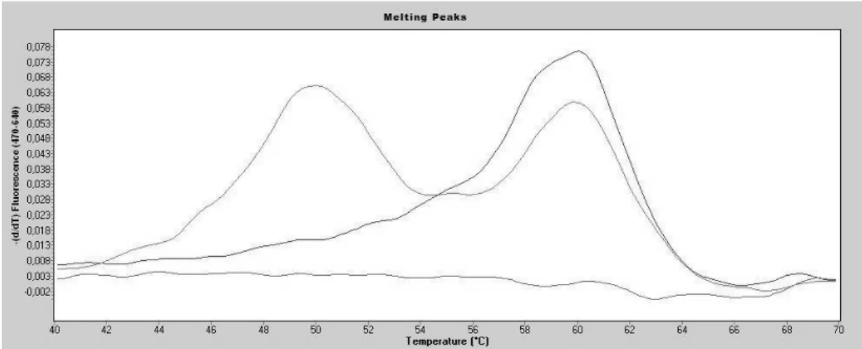 Figure 1.  Factor II Melting curve analysis   