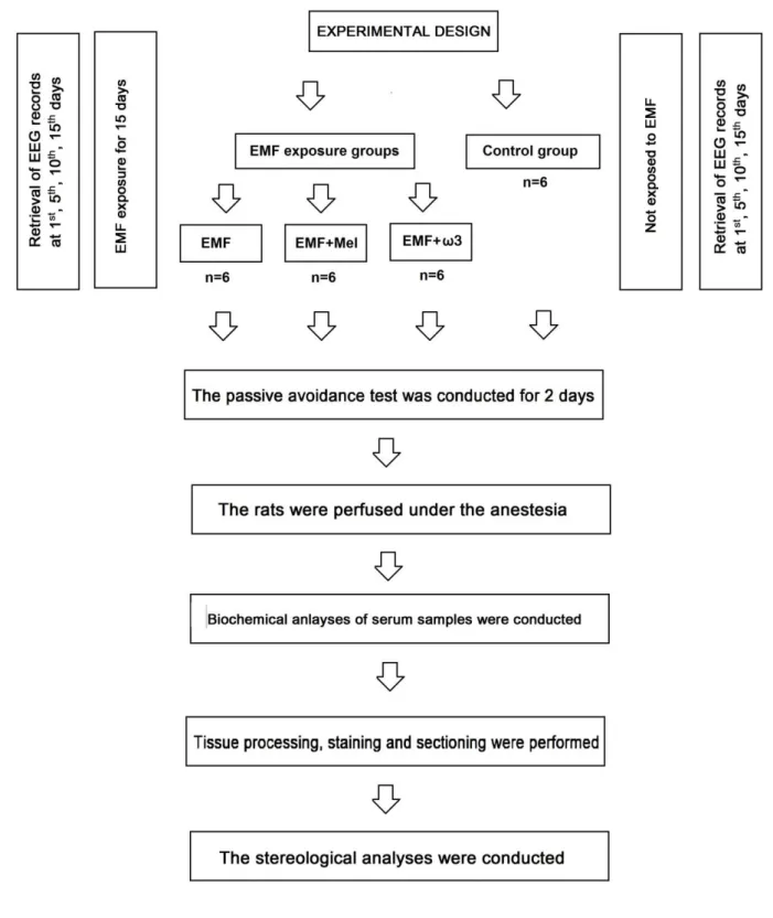 Figure 1. A flowchart that is showing the experimental design and trial protocols 