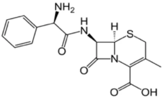 Figure 1. Structural formula of cephalexin