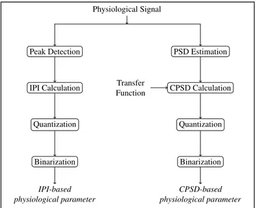 Fig. 4: Overview of our physiological parameter generation techniques