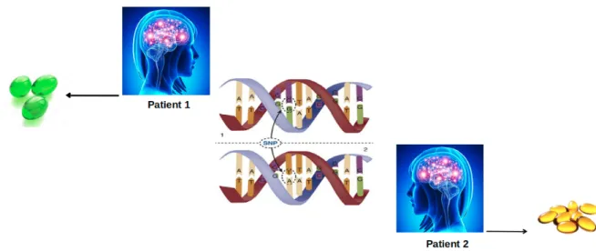 Figure 6. The effect of SNP on drug response. A single nucleotide variation causes two patients with the same disease to be prescribed differently as indicated by different colors and numbers of pills.
