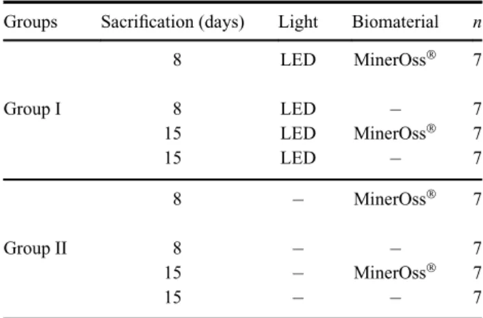 Table 1. Distribution of the rats in the study.