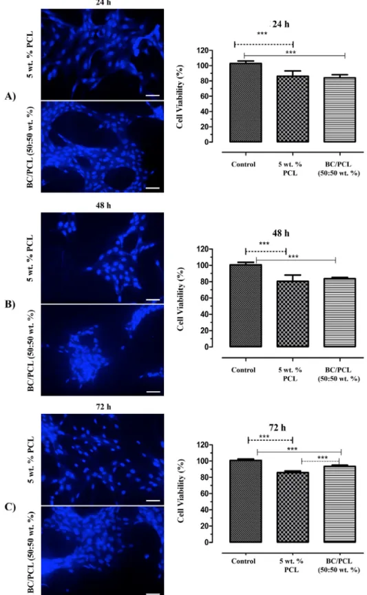 Fig. 4. In-vitro cell viability and ﬂuorescent microscopy results of nanoﬁbrous scaﬀolds