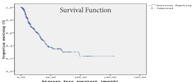 Figure 1. Disease Free Survival Curve of the Patients