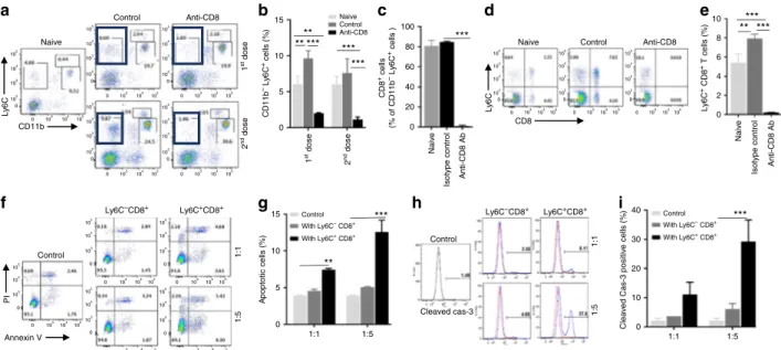 Fig. 5 Ly6C + CD8 + T-cell population exhibits effector function. EMT6-primed were injected with 2 doses of CD8 depletion antibody 6 months after removal of primary tumors