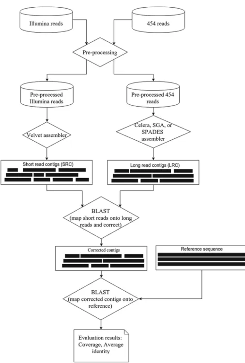 Fig. 1. Flow chart of the assembly improvement processes only for Illumina &amp; 454.