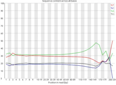 Fig. 2. Non-uniform A, T, G, C regions of Ion Torrent reads. First 8 bases and the bases after the 130 th base are trimmed in pre-processing.