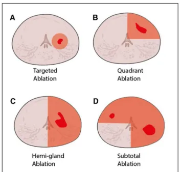 Figure 2 shows the main results.