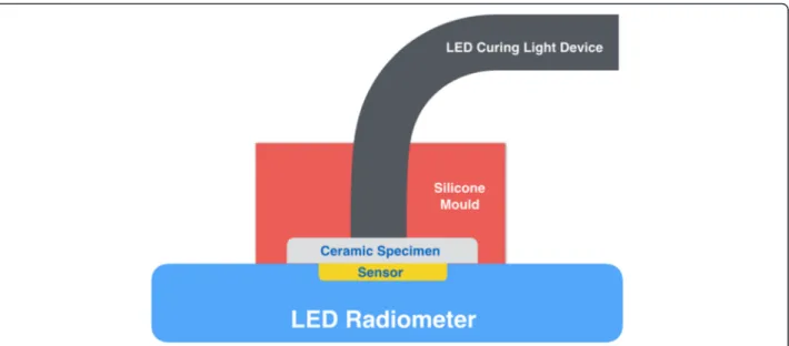 Fig. 1 Schematic view of experimental measurement of light transmission