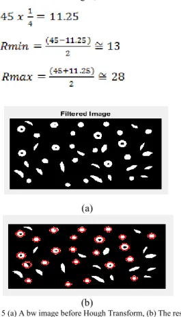 Figure 5 (a) A bw image before Hough Transform, (b) The result of Hough  Transform 