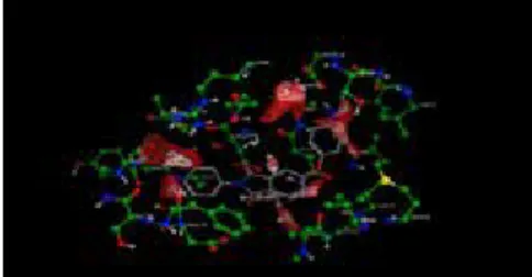 Figure 5: MIFs of Compound 10 with different probes