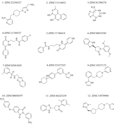 Figure 2: Compounds of the test set that scored highest using the XP algorithm.