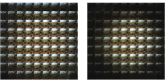Figure 2: The effect of optical ﬁlter on captured light ﬁelds.