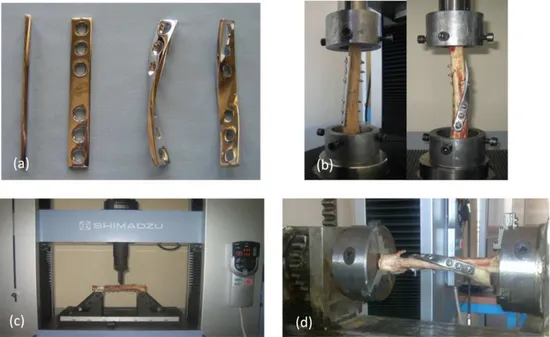 Fig. 8. (a) Experimental straight and helical specimens, (b) test rig for Compression, (c) test rig for Bending, and (d) test rig for Torsion.