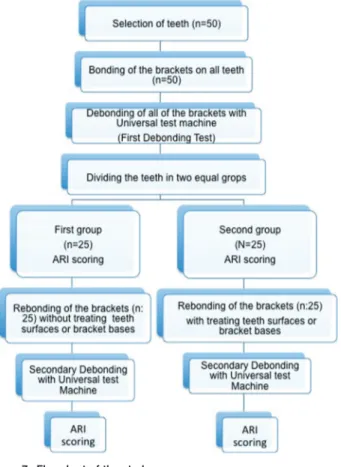 Figure 7: Flowchart of the study