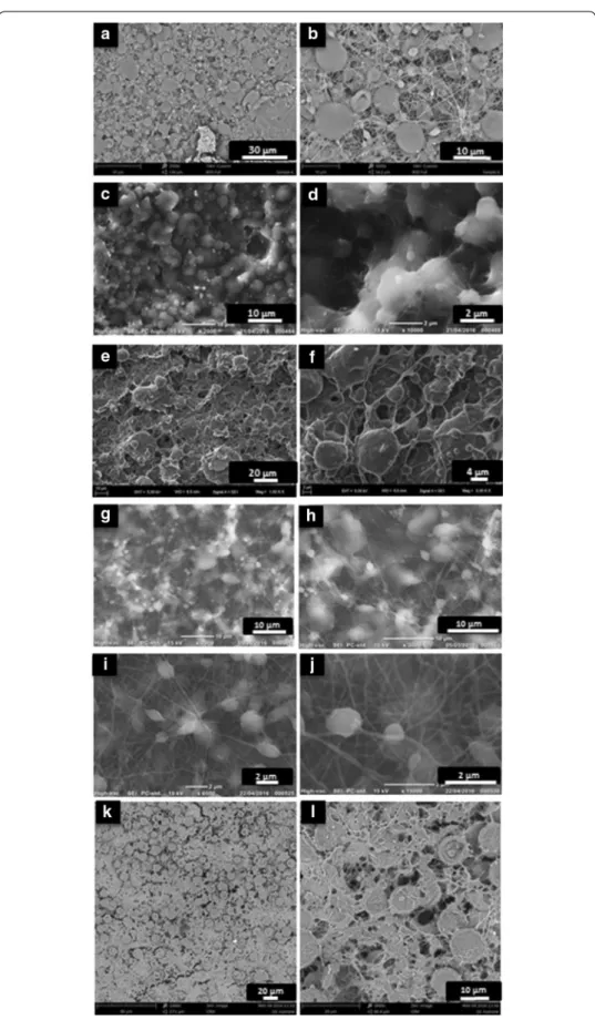 Fig. 3  SEM images of the electrospun starch/PCL composite nanofibers with varying starch concentrations  of a, b 4 wt% starch/10 wt% PCL composite fibers; c, d 5 wt% starch/10 wt% PCL; e, f 6 wt% starch/10 wt% 