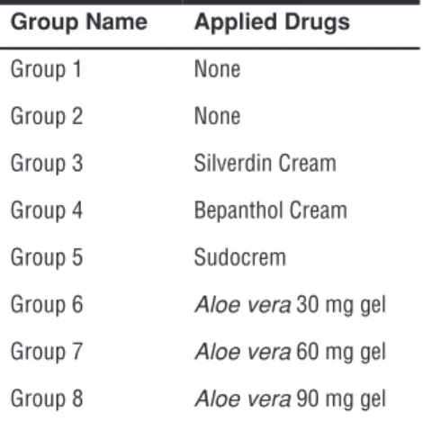 Table 1. Experimental groups and applied drugs Group Name Applied Drugs
