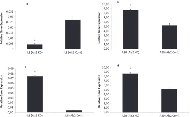 Figure 3. Gene expression changes of IL8 and A20. (a) Relative gene expression of IL8 in Als2 knocked-down neurons (IL8 Als2 KD) with  respect to control (IL8 Als2 Cont.); (b) Relative gene expression of A20 in silenced Als2 background (A20 Als2 KD) with r