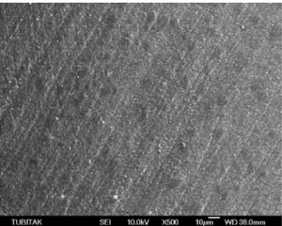 Fig. 3a. SEM micrographs of the specimen treated with 