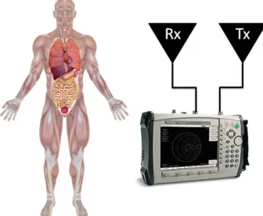 Fig. 2: Measurement locations on human cadaver. 