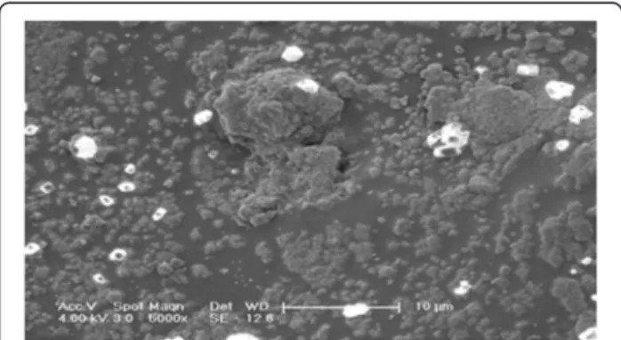 Fig. 6 Energy-dispersive X-ray spectroscopy (EDS) microanalysis Quantification analysis at 5000X