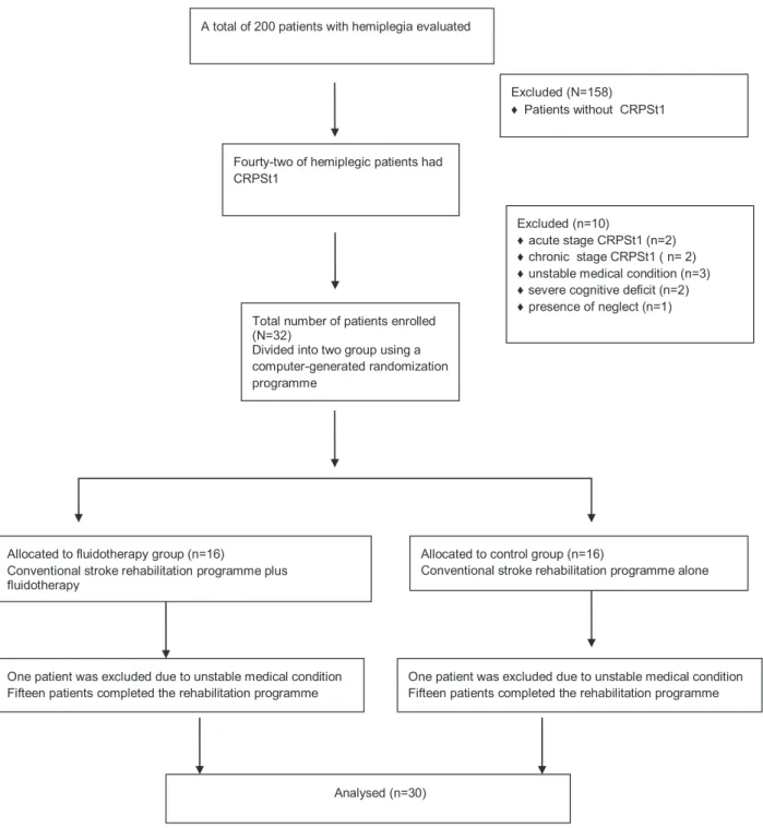 Figure 1. Flow diagram for randomized subject enrollment in this study.