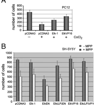 Fig. 4. High levels of Elk-1 expression are correlated with higher rates of survival in primary DRG cultures