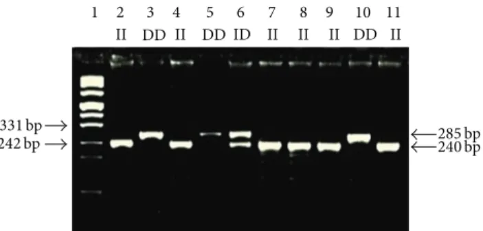 Figure 1: Representative genotypes of NF-