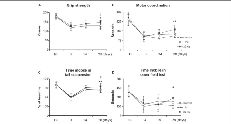FIGURE 5 | 20 Hz rTMS promotes post-ischemic grip strength and motor coordination, thus reducing depression