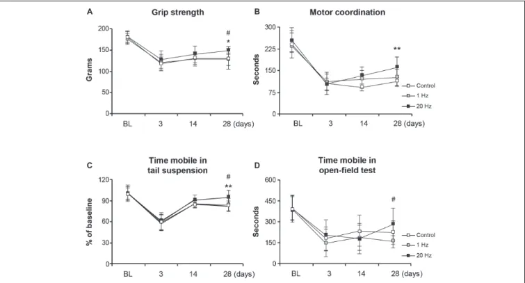 FIGURE 5 | 20 Hz rTMS promotes post-ischemic grip strength and motor coordination, thus reducing depression
