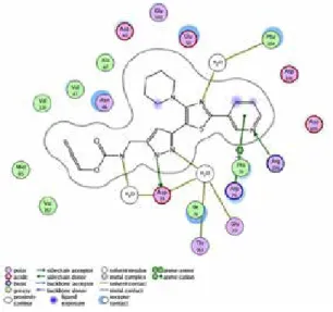 Figure 2: The active site-ligand interactions in E. coli