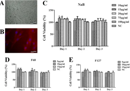 Fig. 1 a Cell morphology (Scale bar 400 μm) and b collagen type I immunostaining (Scale bar 100 μm) of human fibroblasts (HF) from neonatal foreskin at passage number 2.