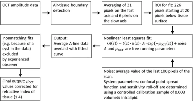 Fig. 4 Automated quantitative analysis. The process is described in detail in Appendix.
