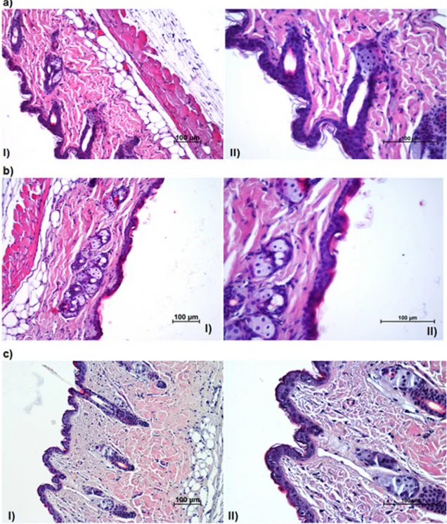 Fig. 9. Images of treated mice skin with a) PLA/PESu (70/30)+VRZ, b) with PLA/PESu (50/50)+VRZ and c) with SP