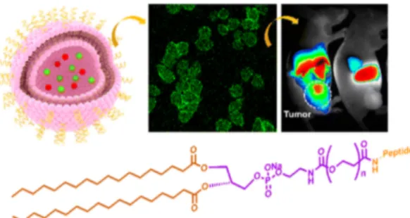 Figure 7. Schematic presentation of functionalized liposomes (pink sphere) with breast cancer  targeting peptide (purple structure) and confocal images of liposomes (green spheres) in fluorescein  isothiocyanate [217]