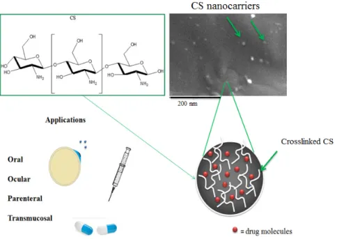 Figure 9. CS nanocarriers for several medical and pharmaceutical applications. 