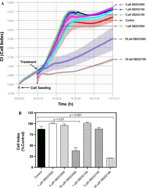 Fig. 2 Determination of effects of SB203580 and SB202190 on cell proliferation. a MDA-MB231 cells (12,500) were seeded in each well of E-plate L8 and treated with 1 lM SB203580, 5 lM SB203580, 50 lM SB203580, 1 lM SB202190, 5 lM SB202190 or 50 lM SB202190 